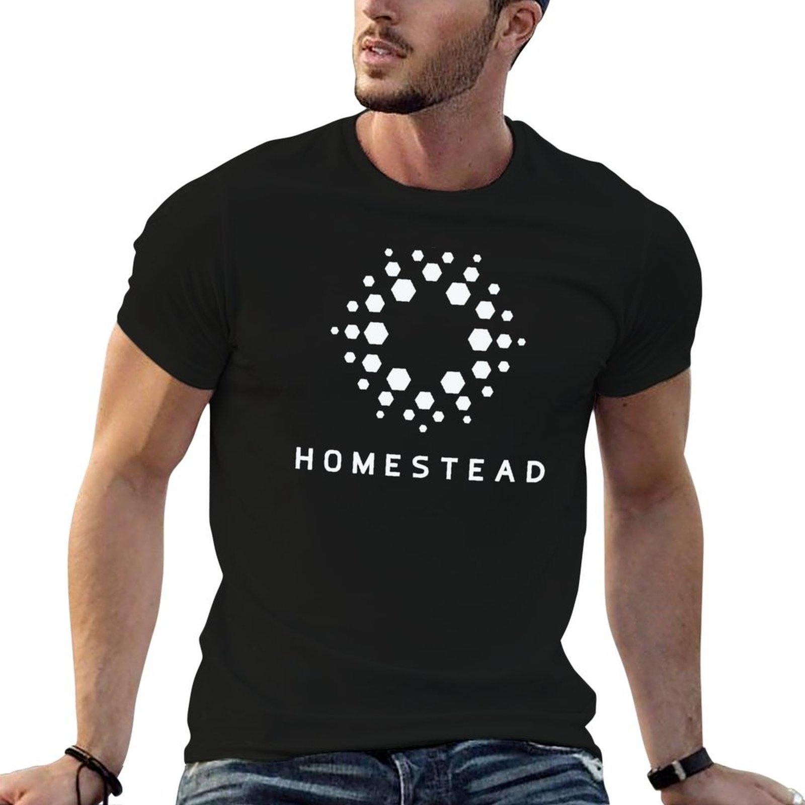 Homestead Lighting & Decor Oconomowoc - Homestead - Passengers - Leichtes T-Shirt,