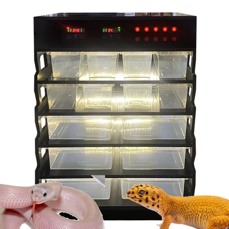Gecko Lighting & Decor - Intelligentes PVC-Reptilienmöbel, Reptilienbedarf, Reptilienbasis, Schlangen- und