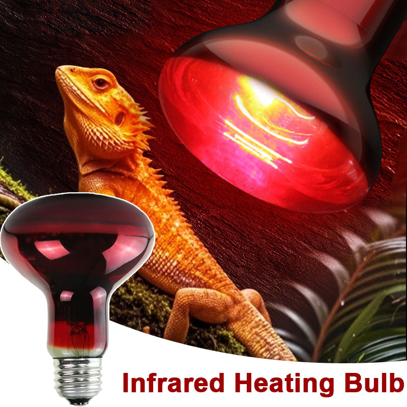 Reptilien-Wärmelampe 100V/220V – Gecko Lighting & Decor Bewertung und Preis