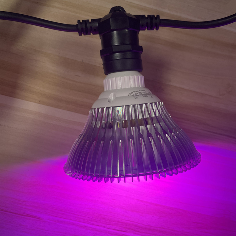 10 m langes LED-Kabel, wasserd – String Light Outdoor Bewertung und Preis