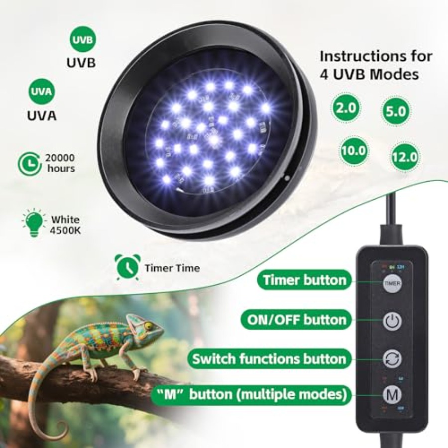UVB-Licht für Reptilien mit Di – Gecko Lighting & Decor Bewertung und Preis