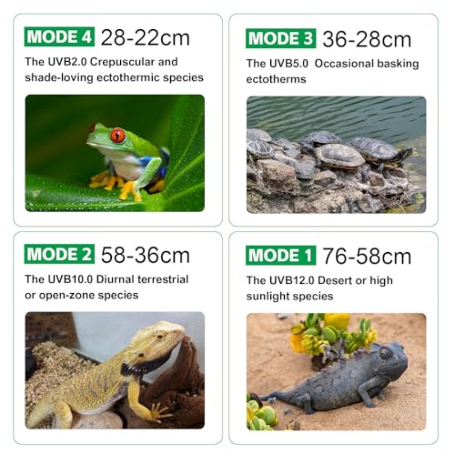 UVB-Licht für Reptilien mit Di – Gecko Lighting & Decor Bewertung und Preis