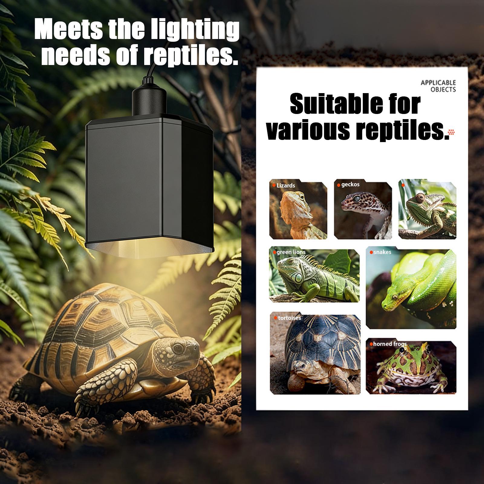 Wärmelampenschirm für Reptilie – Gecko Lighting & Decor Bewertung und Preis