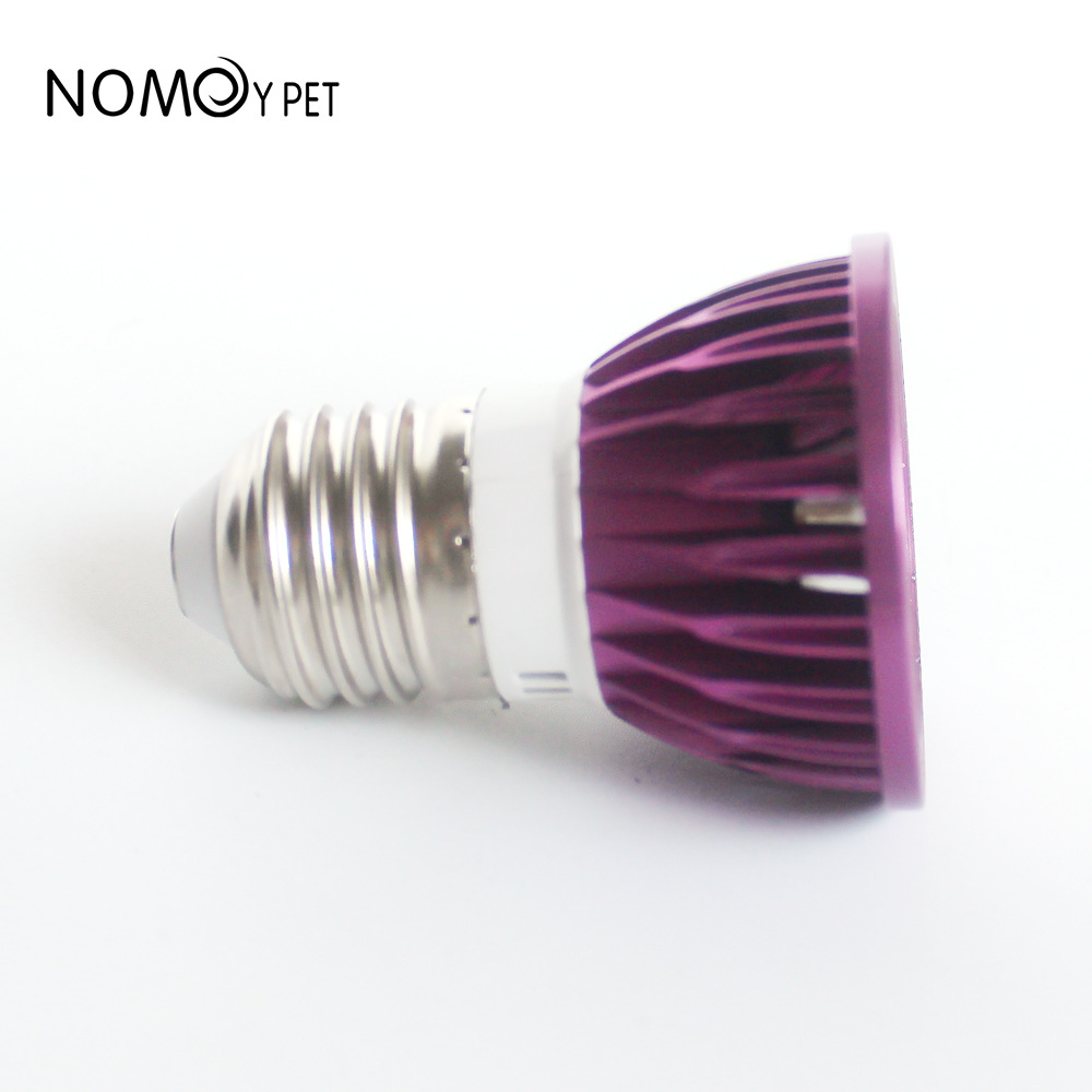 NOMOY Moonlight LED-Nachtlicht – Gecko Lighting & Decor Bewertung und Preis