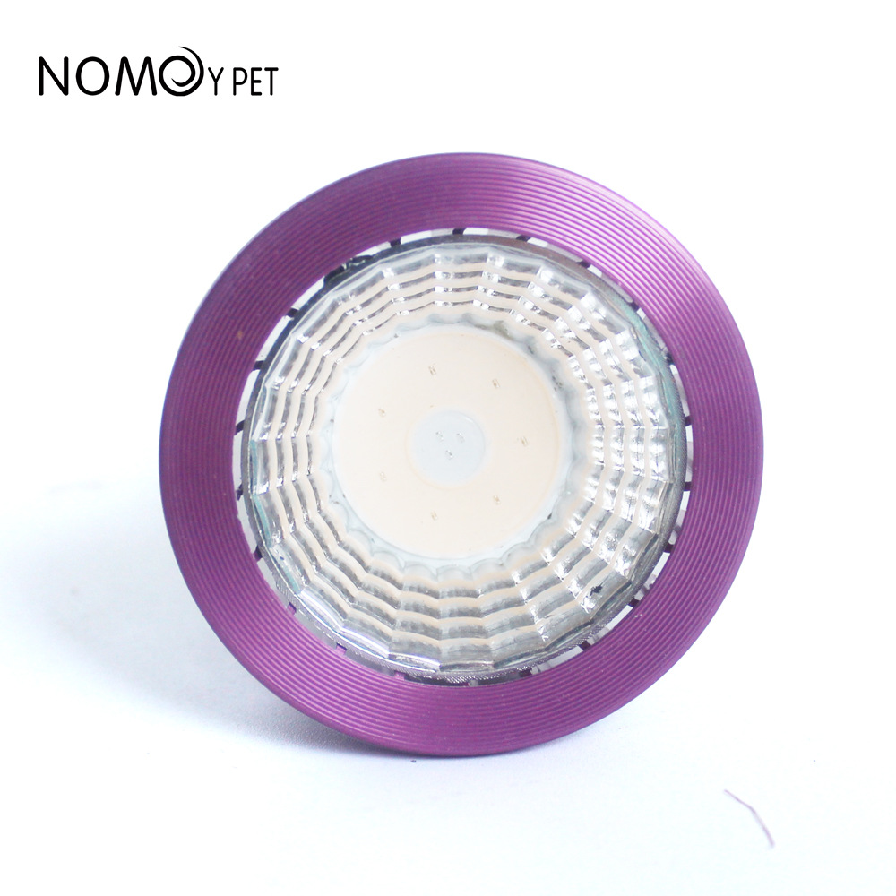 NOMOY Moonlight LED-Nachtlicht – Gecko Lighting & Decor Bewertung und Preis